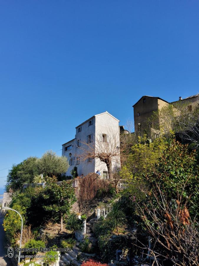 Maison Casa Nova Biguglia  Luaran gambar